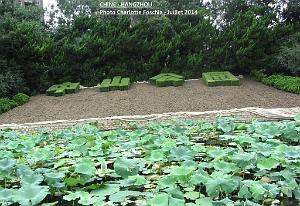 Charlotte- Hangzhou 017